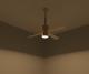 Modern Ceiling Fan