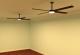 Ceiling Fan (Lights Included)