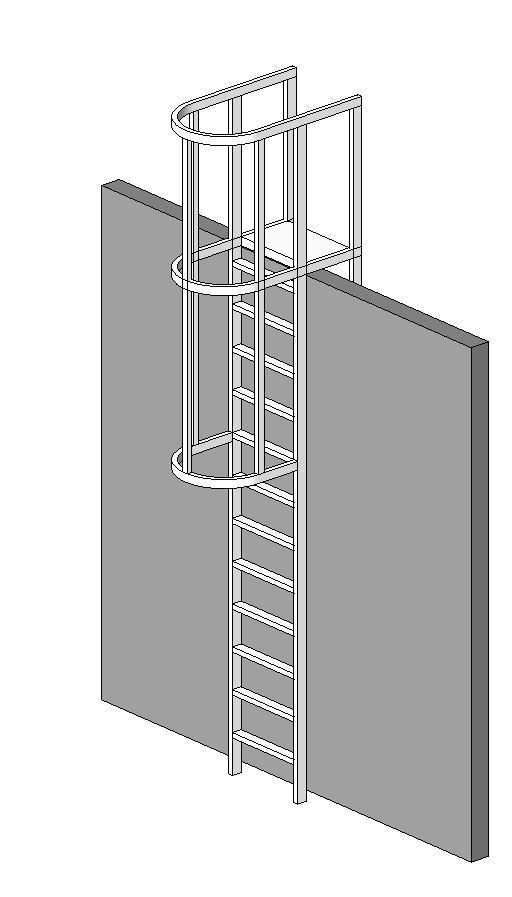 Roof Ladder-with Cage